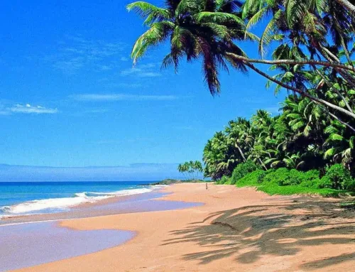 Talalla Beach: Sri Lanka’s Best-Kept Secret for Soulful Travelers